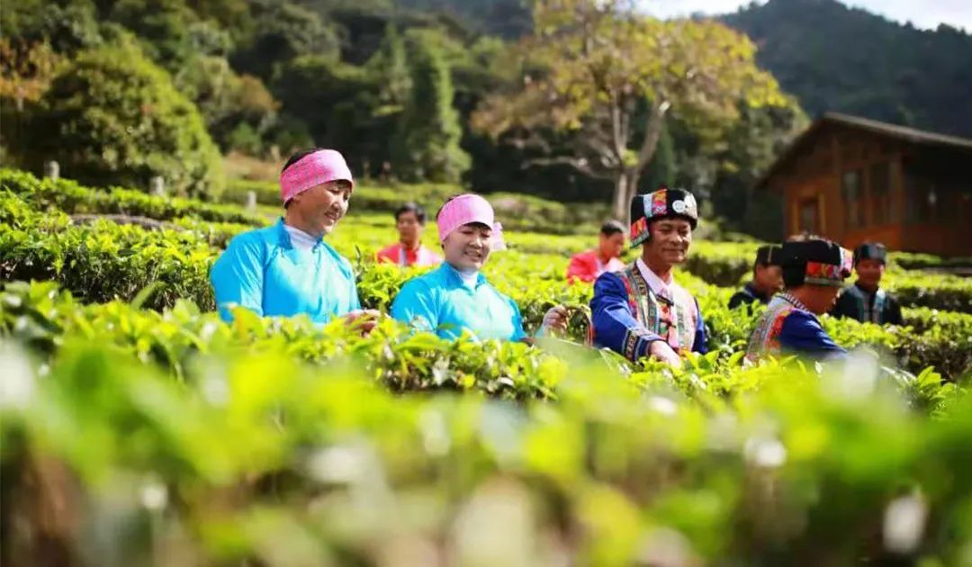 贺州八步区桂岭镇打卡景点,贺州网红景点排行榜