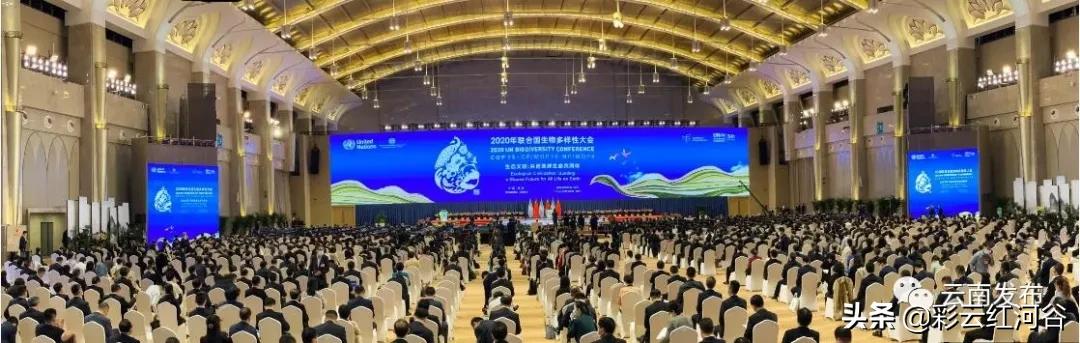 中国云南哪里好看,云南的云彩为什么好看