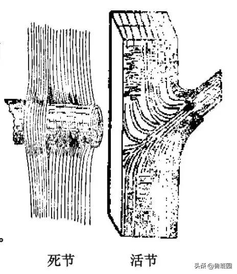 木材的主要缺陷,木材缺陷有哪些