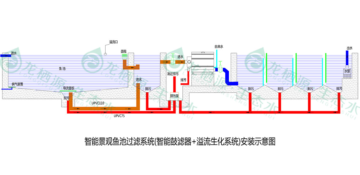 锦鲤鱼池过滤系统的施工过程,锦鲤鱼池过滤系统建造与改造