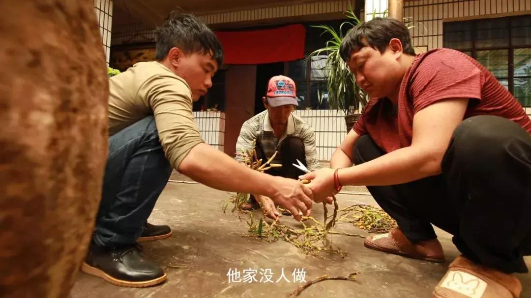 不管你有没有钱都要善待老人,不管你有没有钱一定要赚钱