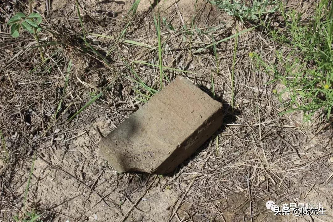 万里长城西起临洮东至辽东,西起临洮东至辽东的万里长城