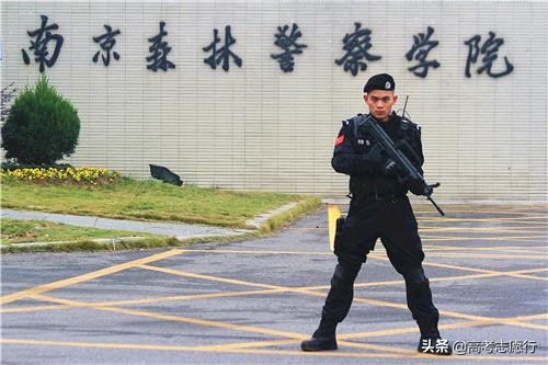 森林公安高等专科学校录取分数线,森林公安录取分数