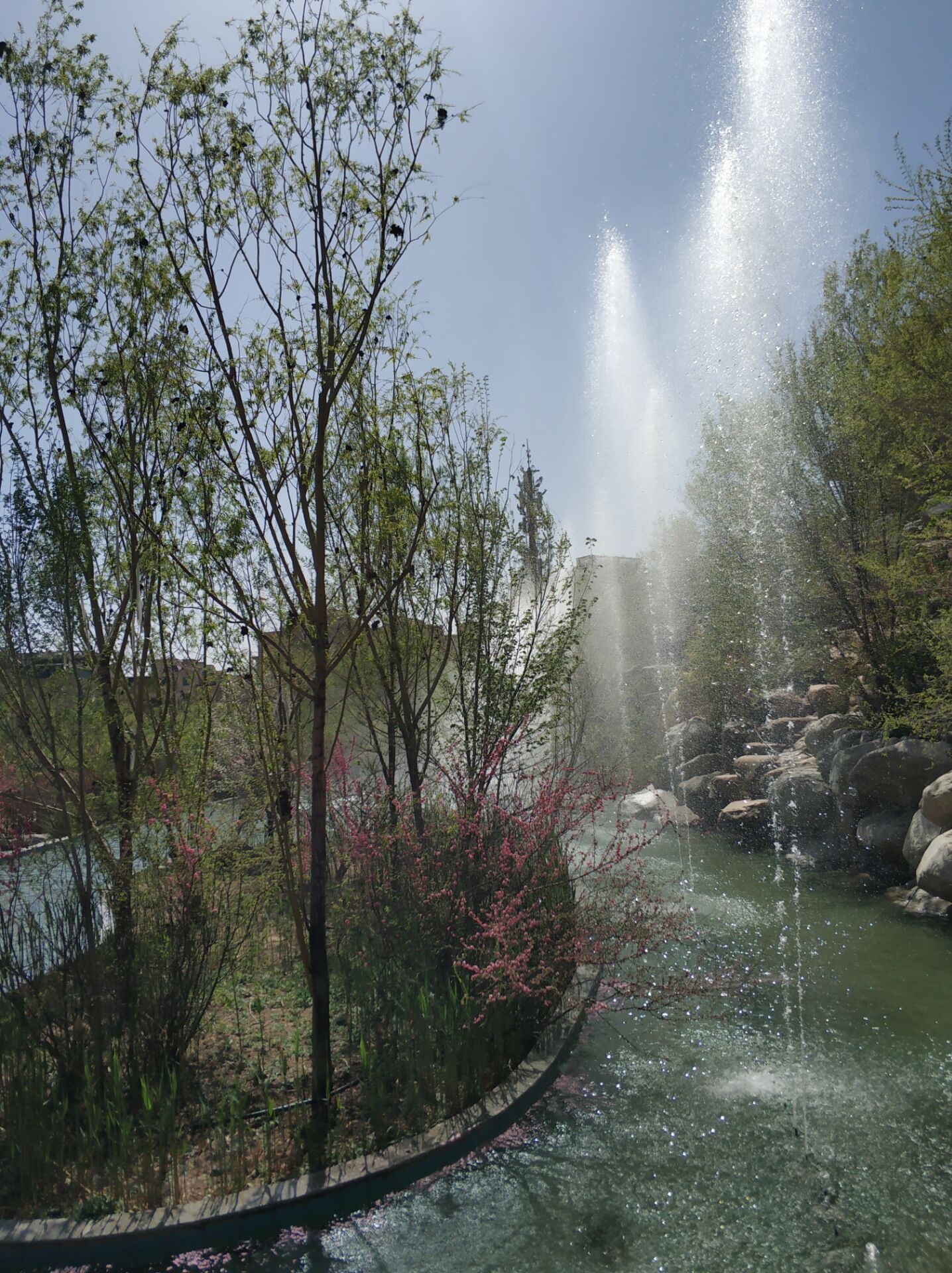 乌鲁木齐居然有这么漂亮的地方,乌鲁木齐周边森林公园在哪里