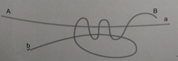 海钓pe各种线结打法,pe线海钓线结绑法