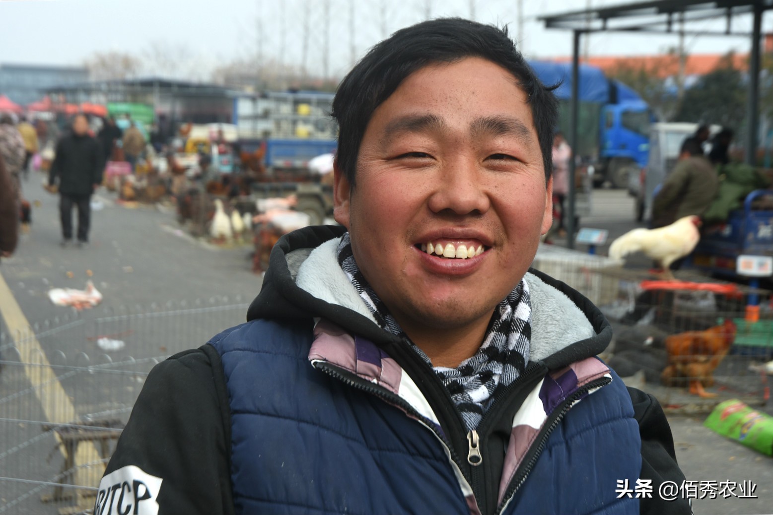 农村集市上的宠物鸡,30元一只挺值钱,小伙无意间发现商机