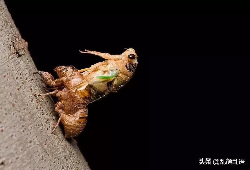 邹平满满的回忆,邹平尘封记忆视频