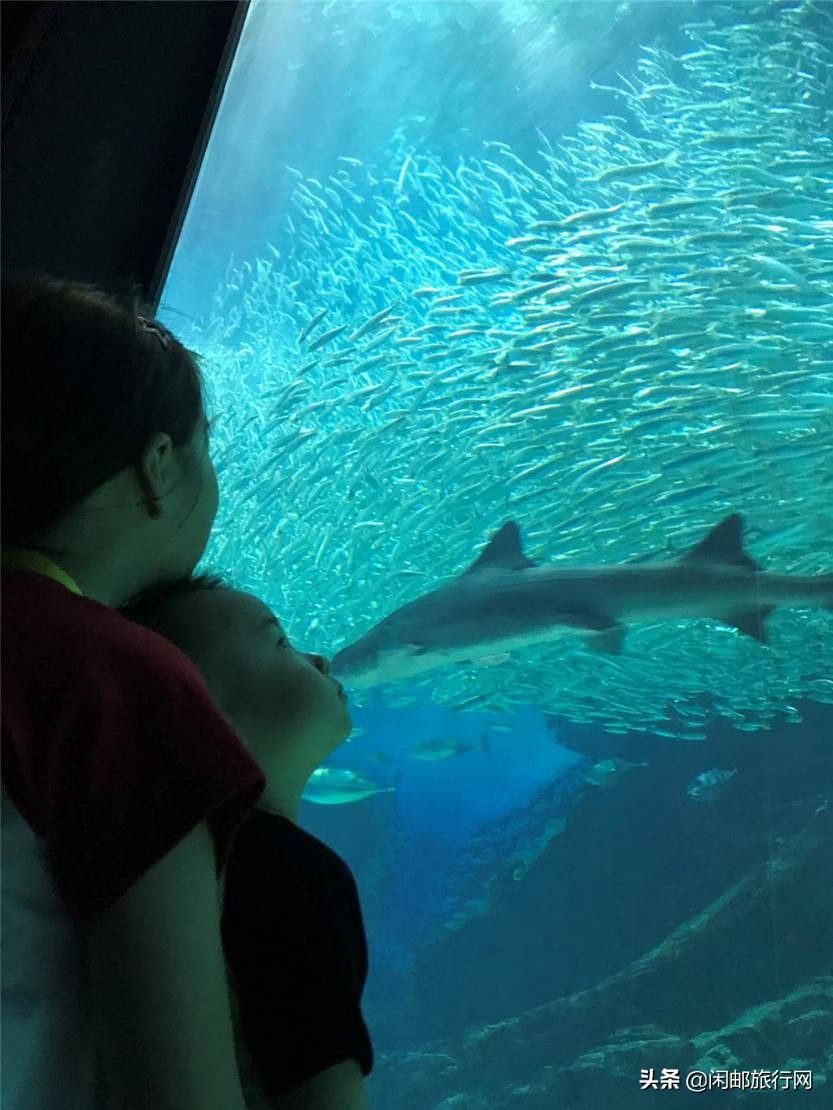 海洋量子号长崎福冈游记,海洋量子号长崎旅游攻略
