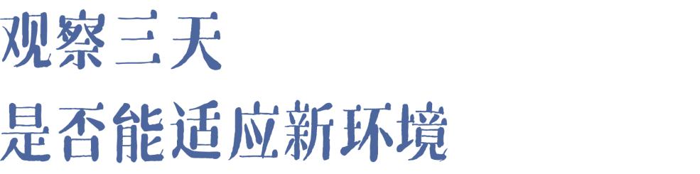 龙鱼老是扑水怎么回事,龙鱼有掉眼倾向怎么办