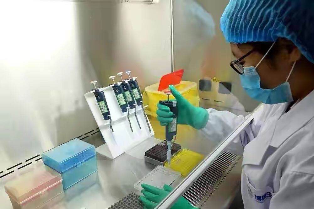 亲子鉴定发现双胞胎孩子不是亲生,父母带双胞胎做亲子鉴定