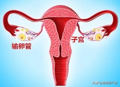 我应该去看生殖科吗？不孕症该怎么查？