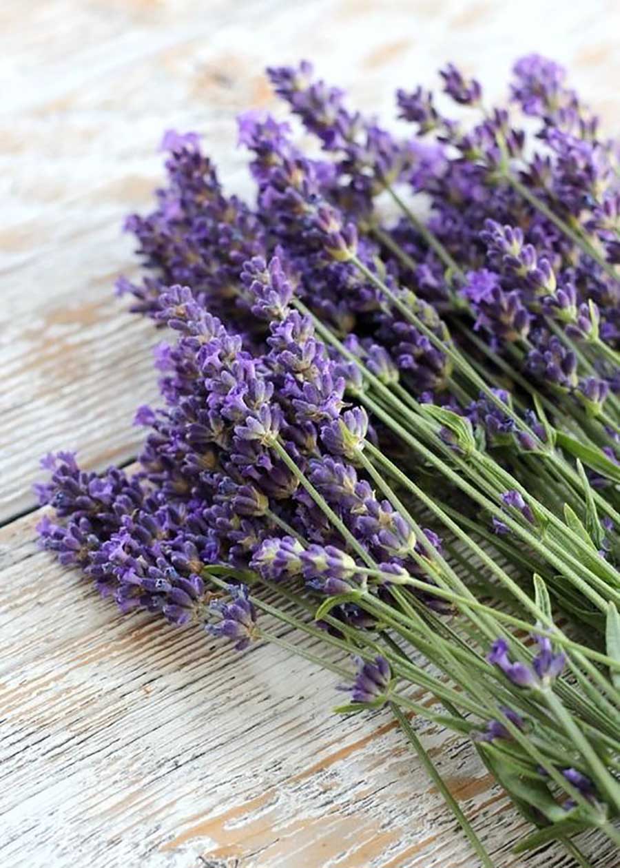 ins风房间干花布置用品,家居干花布置