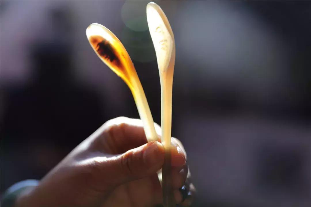 腾冲牛角梳,腾冲藤野镇洞山