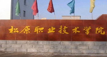 松原职业技术学院是师范类吗,松原油田职业技术学院