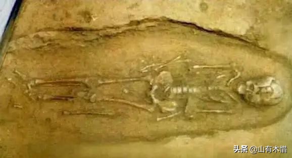 零口姑娘为什么会被处死,零口姑娘死亡之谜