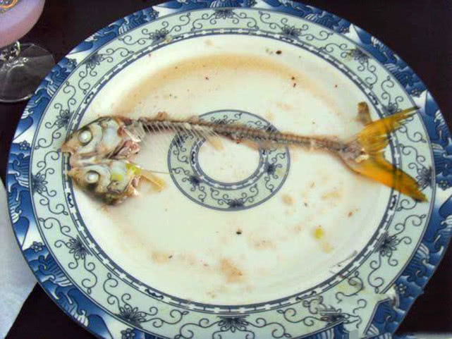 胖头鱼有什么钓法和技巧,小嘴鱼红尾黄的最佳钓法