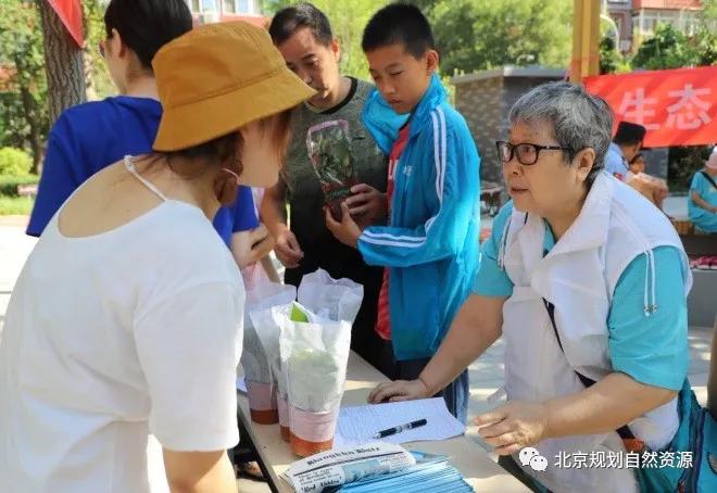 劲松小区试点改造,劲松老旧小区改造