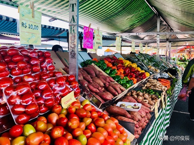 欧洲足球博物馆,足球博物馆museum