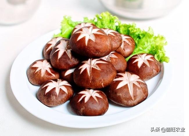 家庭没有烘干机香菇怎么烘干,香菇烘干机的操作