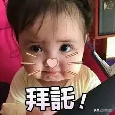 看完小奶狗和直男在恋爱中不同的说话模式，我选择单身？