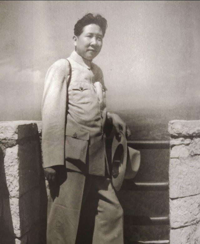 枣庄抗日战役,刘知侠的抗日小说