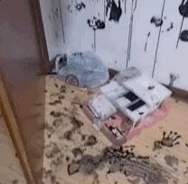 小学开学神兽们回笼了,神兽马上回笼家长们刷屏了朋友圈