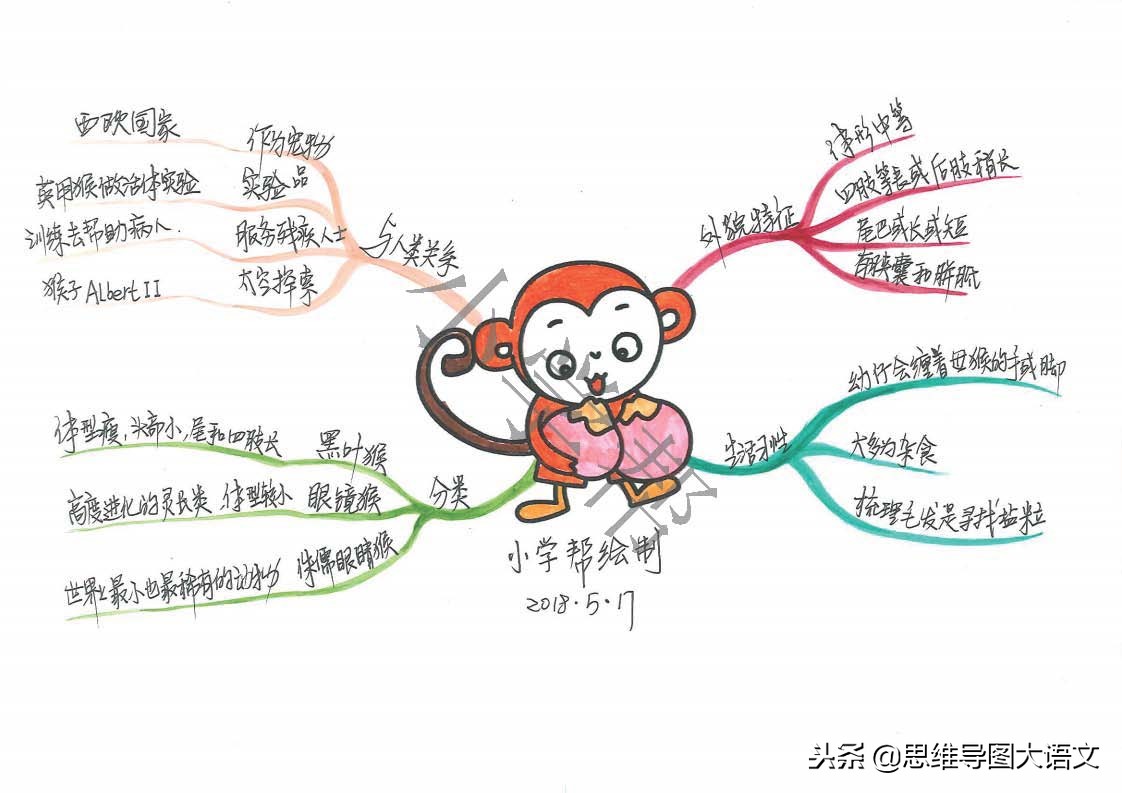 思维导图十二生肖文化知识,十二生肖思维导图并标上动物单词