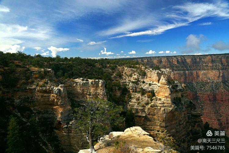 鍖楃編鏋儏闃虫柊,鍖楃編鏋儏鍥剧墖