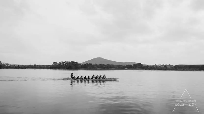 澳洲|春意堪培拉,看袋鼠、品酒、赏花、住进动物的家