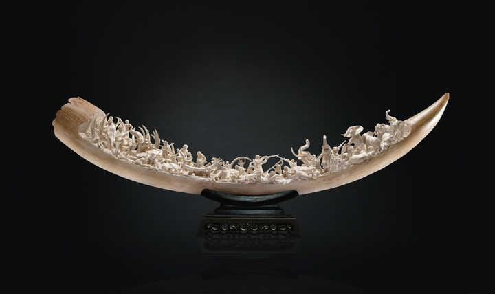 不让长象牙就胎死腹中!非洲公象这种致命基因,人类竟然也有