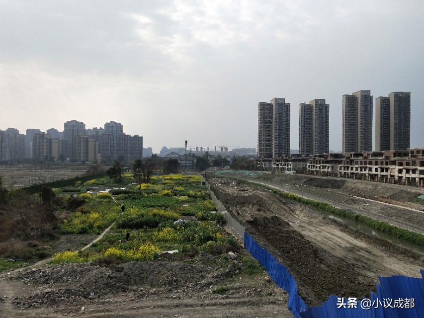 新都区大丰北星中学校区图片,大丰北星中学是谁建的