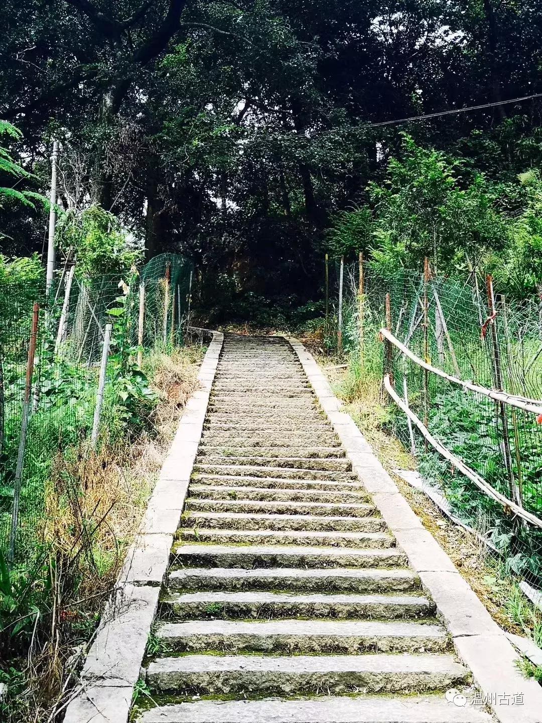 平阳鸣山古村落图片,千年古村平阳县鸣山村古城夜景