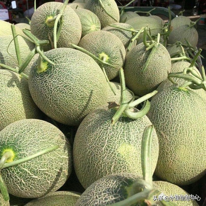 水果天堂：海南水果品种及上市时间表