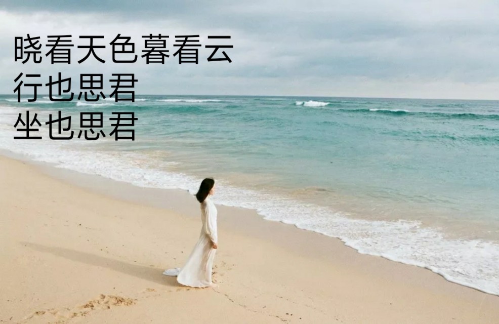 相思已成殇,相思已成追忆图片