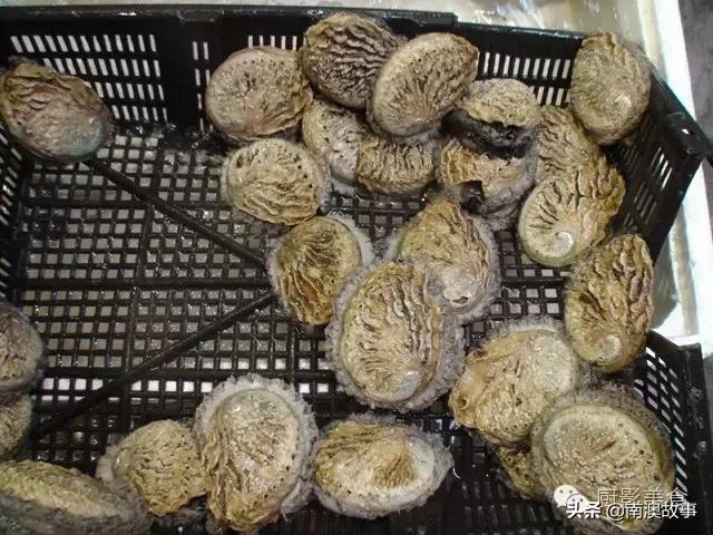 水煮贝壳类海鲜煮多久,海边海鲜用什么水煮好吃