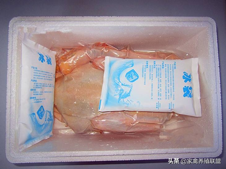 一只真正的土鸡能卖多少钱,土鸡卖一元一只一年能赚180万