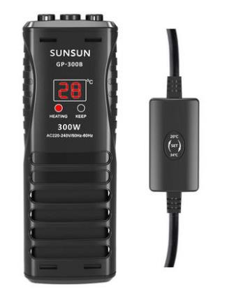 观赏鱼烂肉怎么办？不要担心，用这个方法一次搞定