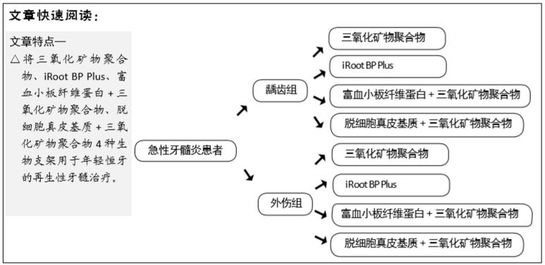 年轻恒牙活髓保存与牙髓再生技术,年轻恒牙牙髓再生术的动画演示