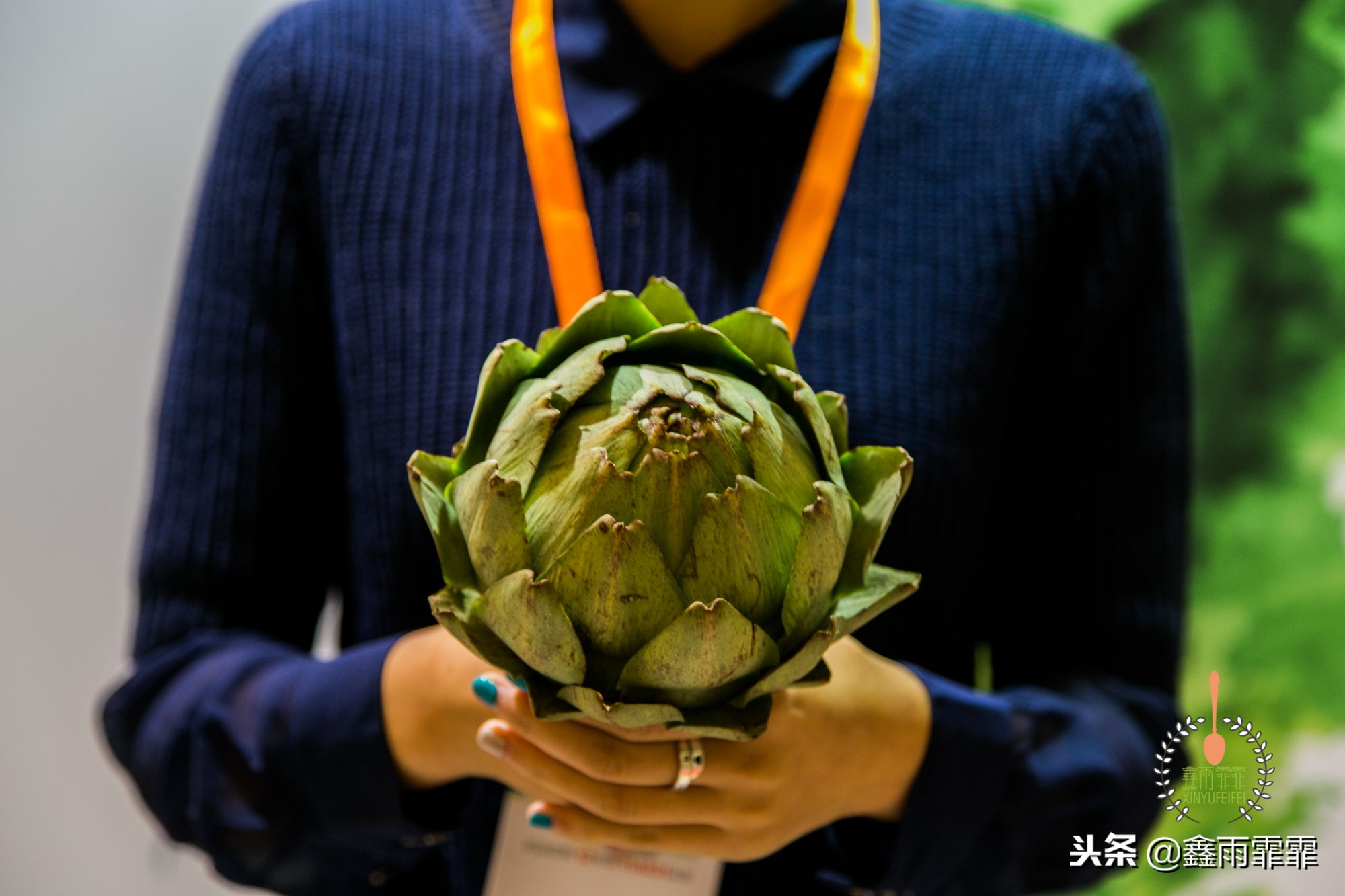 5万斤胡萝卜卖不出去,一斤胡萝卜能卖多少钱