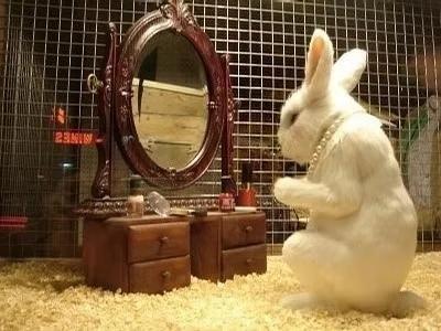 最令女人反感的微信头像有你吗,最让女生反感的微信头像