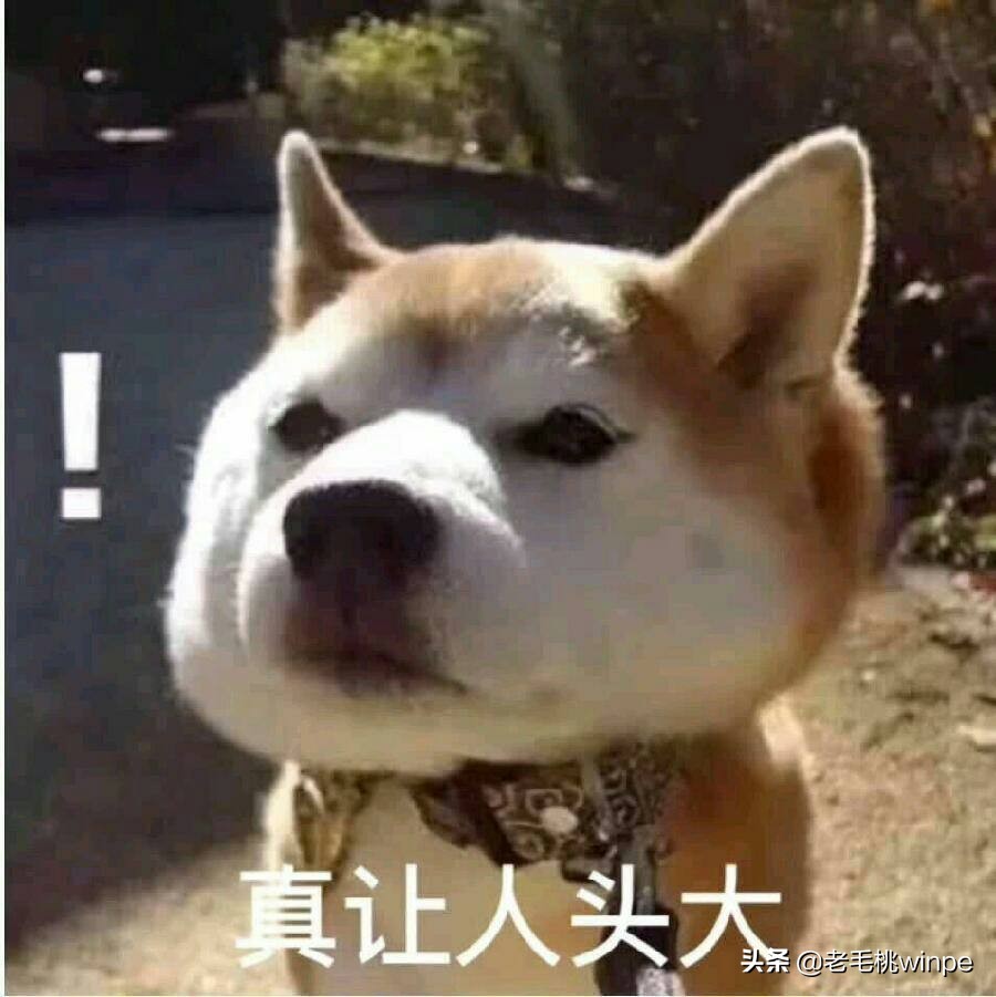 cpu占用莫名高,cpu占用高电脑莫名卡