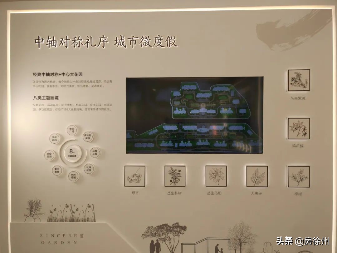 徐州鼓楼区绿城诚园110户型,徐州天宸和绿城诚园哪个好