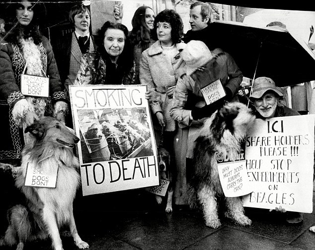 为证明吸烟无害，英国*草烟**公司连续3年，每天让狗狗吸食30支烟