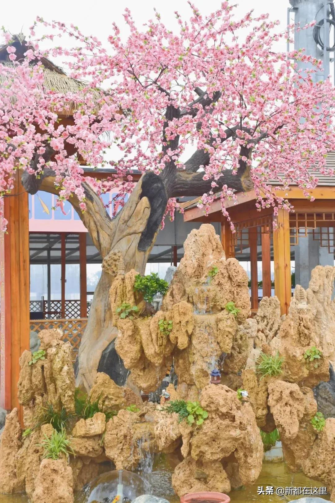 三圣花卉市场正规吗,三圣乡花卉市场今日现状