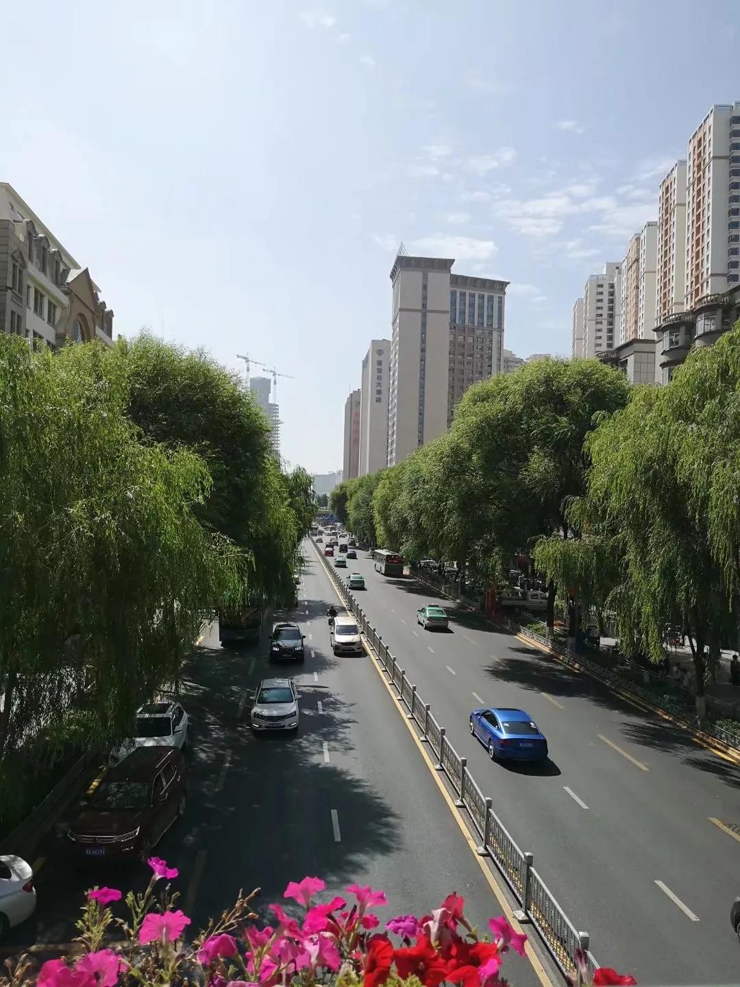 西宁一座美丽城市,西宁有哪些特色建筑名称