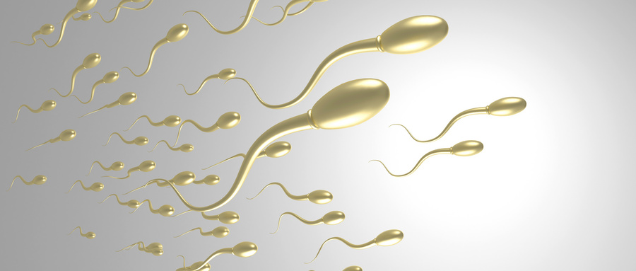 男人不重视精囊炎，考虑清楚，这4个后果身体能不能承受