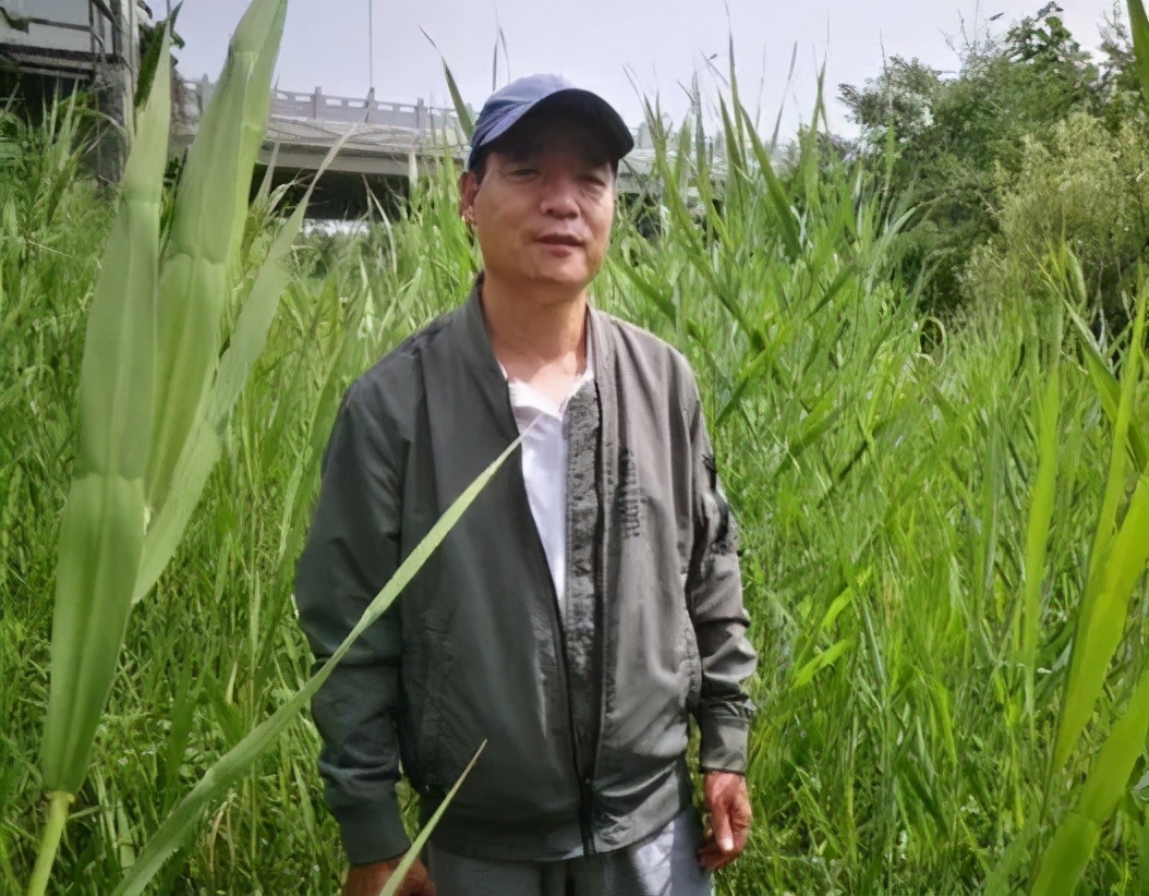 散文|向秋：伏中记（三）上海看展之高铁行