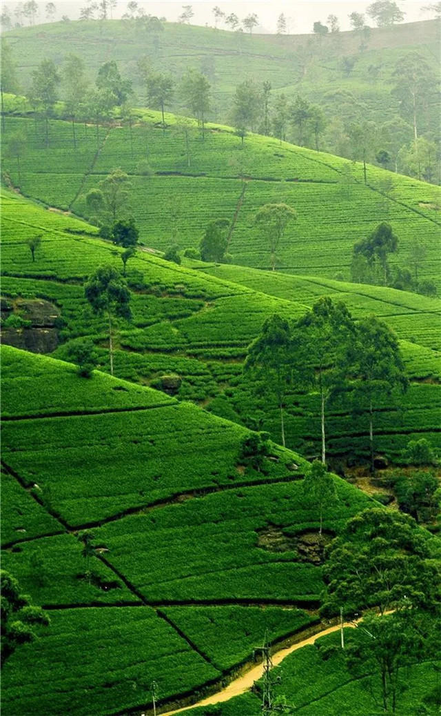 缓解眼睛疲劳壁纸颜色,缓解眼睛疲劳的壁纸高清