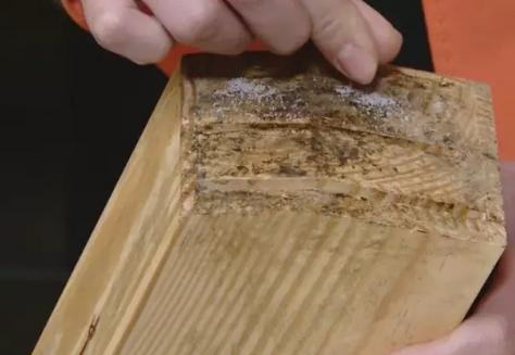 木制刀架发霉了怎么办,刀架发霉清除妙招