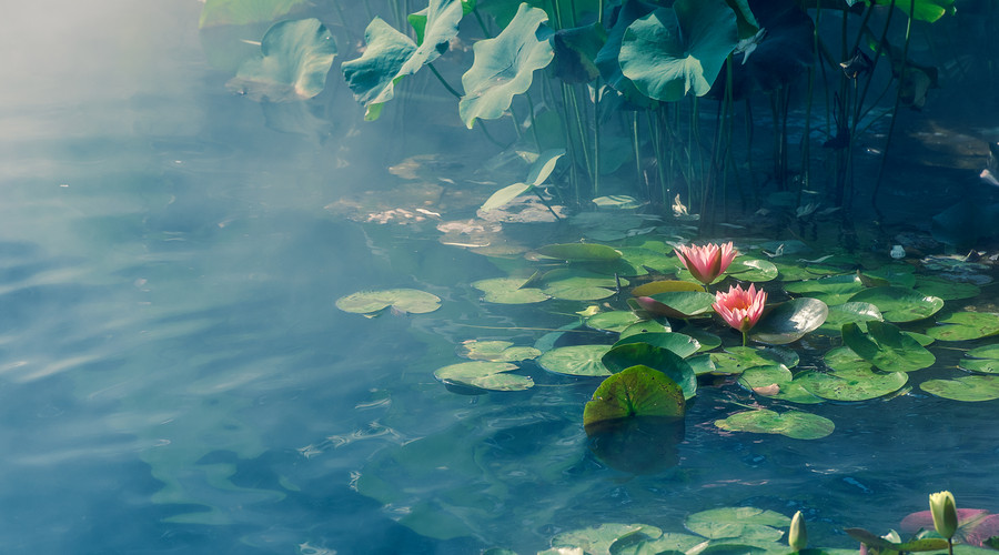 易经讲不顺的时候怎么办,易经中感觉不顺是什么原因